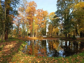 Parkowy staw w jesiennym słońcu. © WalDec