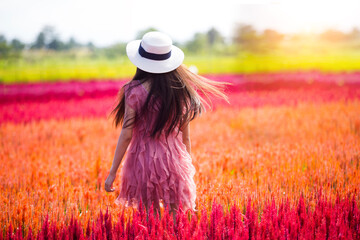 Happy women Walking in the vast multicolored flower fields in the morning