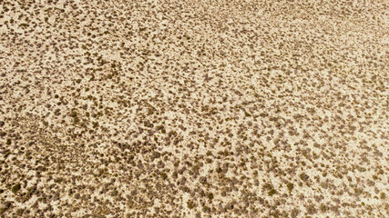 texture of carpet