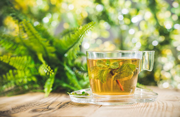 Mint tea with leaves in glass cup in front of blurred nature background of flovers and leaves. Bokeh concept