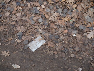 Medical blue mask top view lies thrown to the ground in the forest. concept of environmental pollution