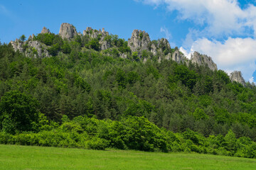 Fototapeta na wymiar Rocks in the forest in Sulov, Slovakia