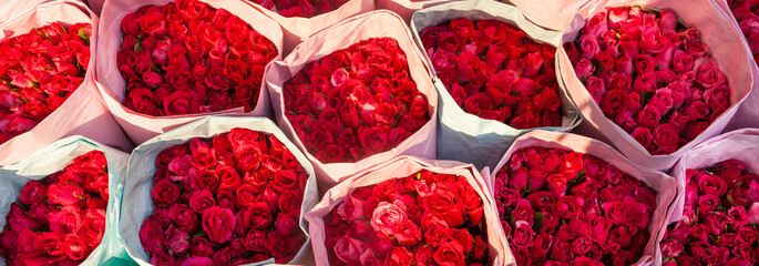 Bunches of Roses - background banner image