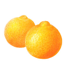 fresh ripe orange on white. colored pencils drawing