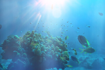 Naklejka na ściany i meble sun rays scuba reef / blue sea, abstract background, sunny day, rays in water