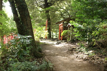神社と鳥居に続く小道
