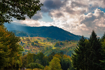 Beautiful view of the Black Forest in the National Park in Germany on a beautiful autumnal sunny day