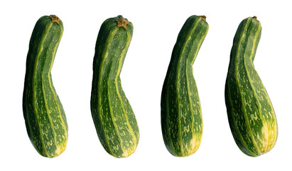 isolated ripe marrow (vegetable) Zebra in various angles on a white background