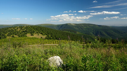 Forested hilly landscape with meadows on mountain ridge during sunny cloudless day.