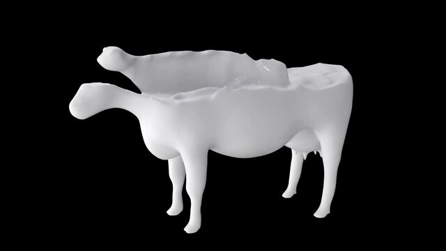 A flow of milk takes shape forming a cow as it fills up and immediately after it melts down and splashing to the ground, with alpha channel