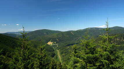 Green forested mountain ridges and hilly landscape with trees in the foreground.