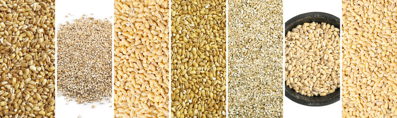 Pearl Barley Grains Food Collage, Various Pearl Barley Collection