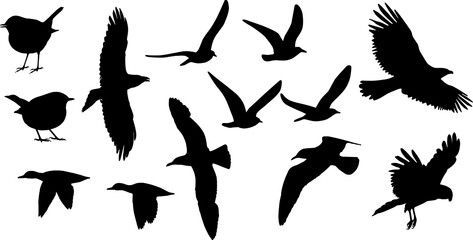 silhouette of birds on flight, vector on white background