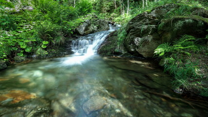 River cascading into small lagoon in a green forest.