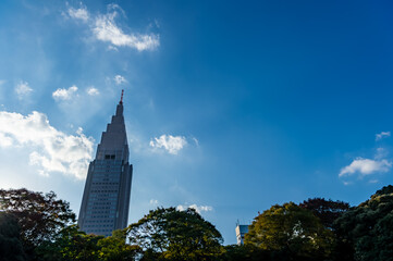 東京都新宿区にある公園の秋の景色