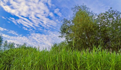   Landschaft im Hannover Bemerode.