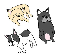 眠るフレンチブルドッグ
