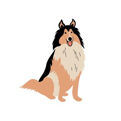 Fototapeta na wymiar Vector cute Collie. Dog breeds. Doodle illustration isolated on white background