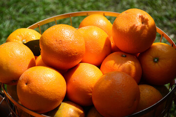 orange lobule and basket with oranges  on the green blurred background