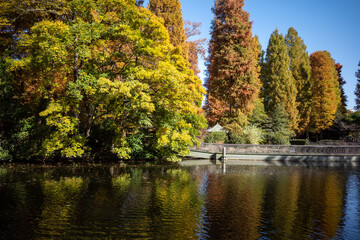 秋の紅葉と公園の池