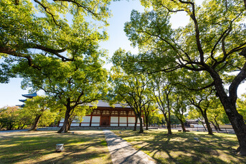 東寺　金堂