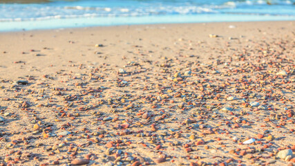 small pebbles on the golden sand of the beach under the sun