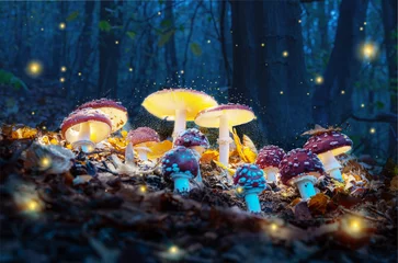 Mystical fly agarics glow in a mysterious dark forest. Fairytale background for Halloween. © volff