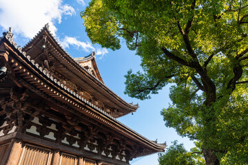 東寺　金堂