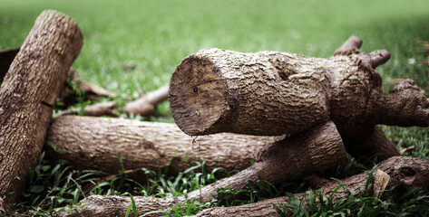 cutting wood log on gress with banner