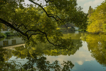 Wetland landscape in Hangzhou, on a sunny day.