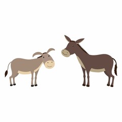 Donkey and mule, differences. Vector illustration isolated.