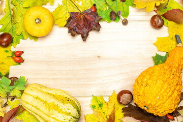 Autumn leaf texture. Natural harvest with orange pumpkin, fall dried leaves, red berries and acorns, chestnuts on wooden background in shape frame. Concept of Thanksgiving day or Halloween.