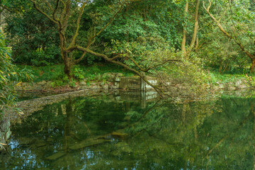 Wetland landscape in Hangzhou, China, autumn time.