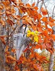 an umbrella with yellow chrysanthemums weighs on a branch of a tree with red leaves