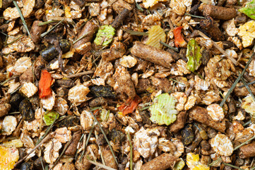  natural sportive  muesli and granules background. for horse. top view