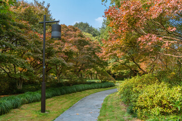 A small lane in a park in Hangzhou, autumn time.