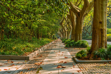 The streets on Yang Gong causeway, at West Lake in Hangzhou, autumn time.