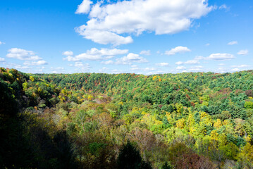Fototapeta na wymiar Hiking trails in a state park in Ohio during autumn 