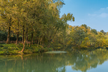 Wetland landscape in Hangzhou, China, autumn time.