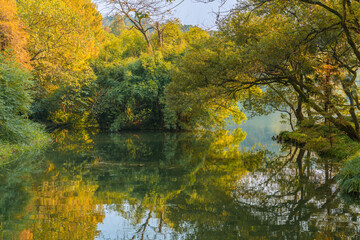 The forest at west lake in Hangzhou, China, at autumn time.