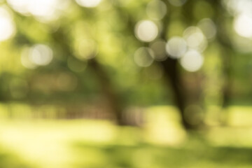 spring bokeh background,green bokeh