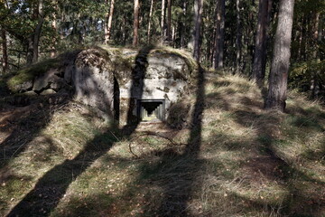 Abandoned bunker of WW2 in the forest