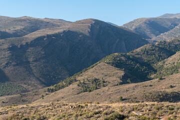 Fototapeta premium Mountainous landscape in southern Spain