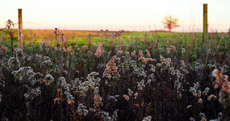 Comfort food and preparation of a hearty meal 