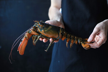 chef holding a lobster in his hands