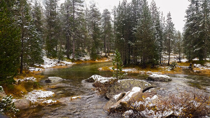 Aiguamog river surrounded by the first snow