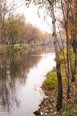 Fototapeta na wymiar Kyiv, Ukraine – November 14 2020: Beautiful swirl bokeh of autumn park with the yellow trees in foggy weather