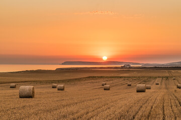 bales in the field at sunset