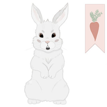 The rabbit is sitting on its hind legs. bookmark with the image of carrots. Isolated children illustration on a white background.