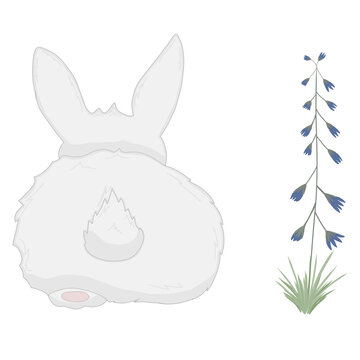 The hare runs away. Next to the hare is a flower. Isolated illustration for the children on a white background.